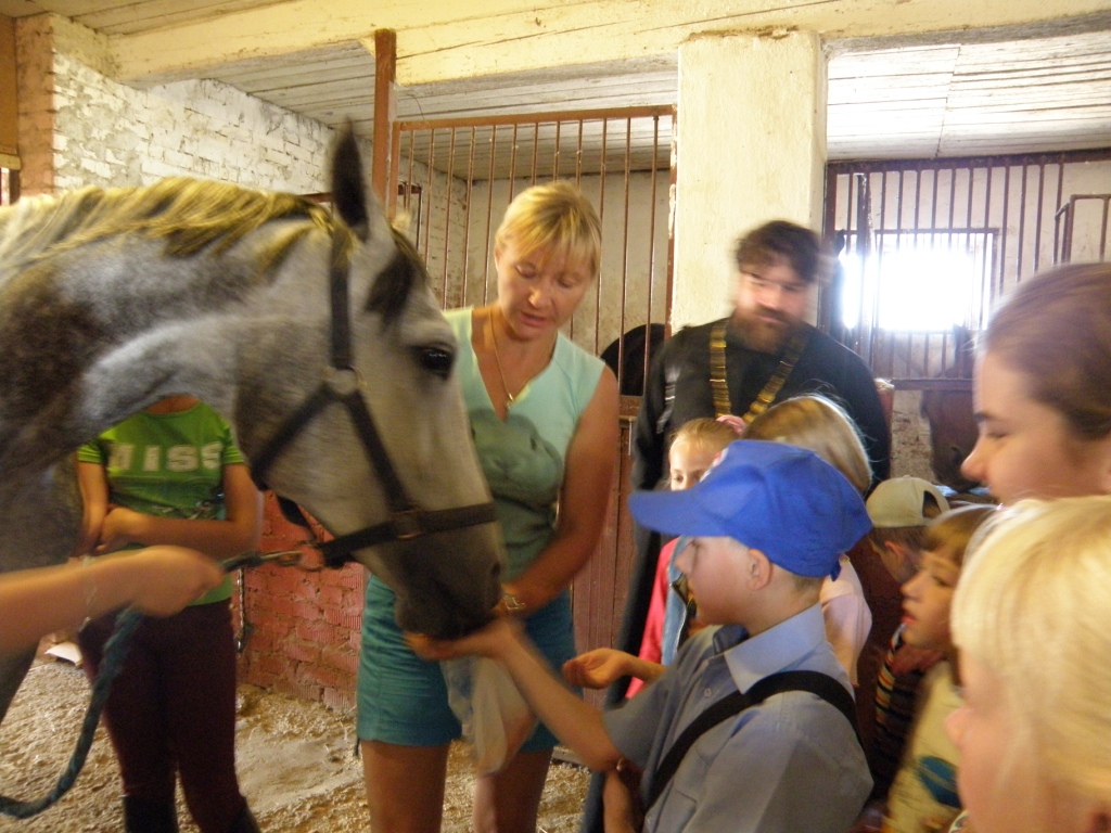 Поездка в конно-спортивное учреждение "Всадник"