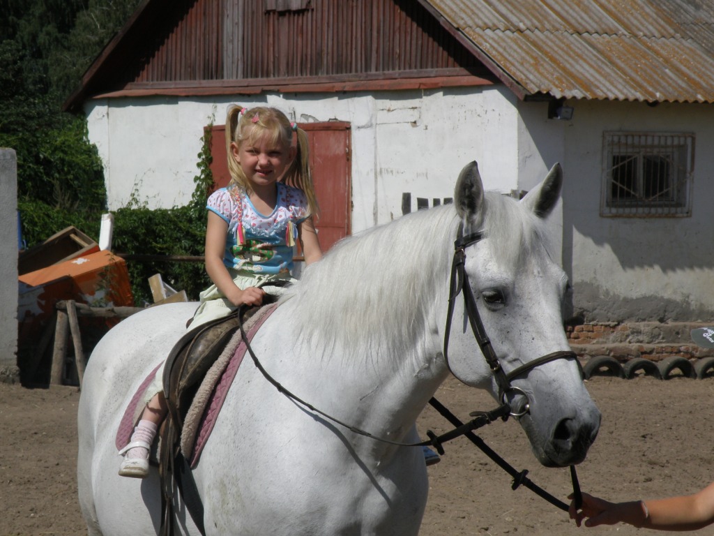 Поездка в конно-спортивное учреждение "Всадник"