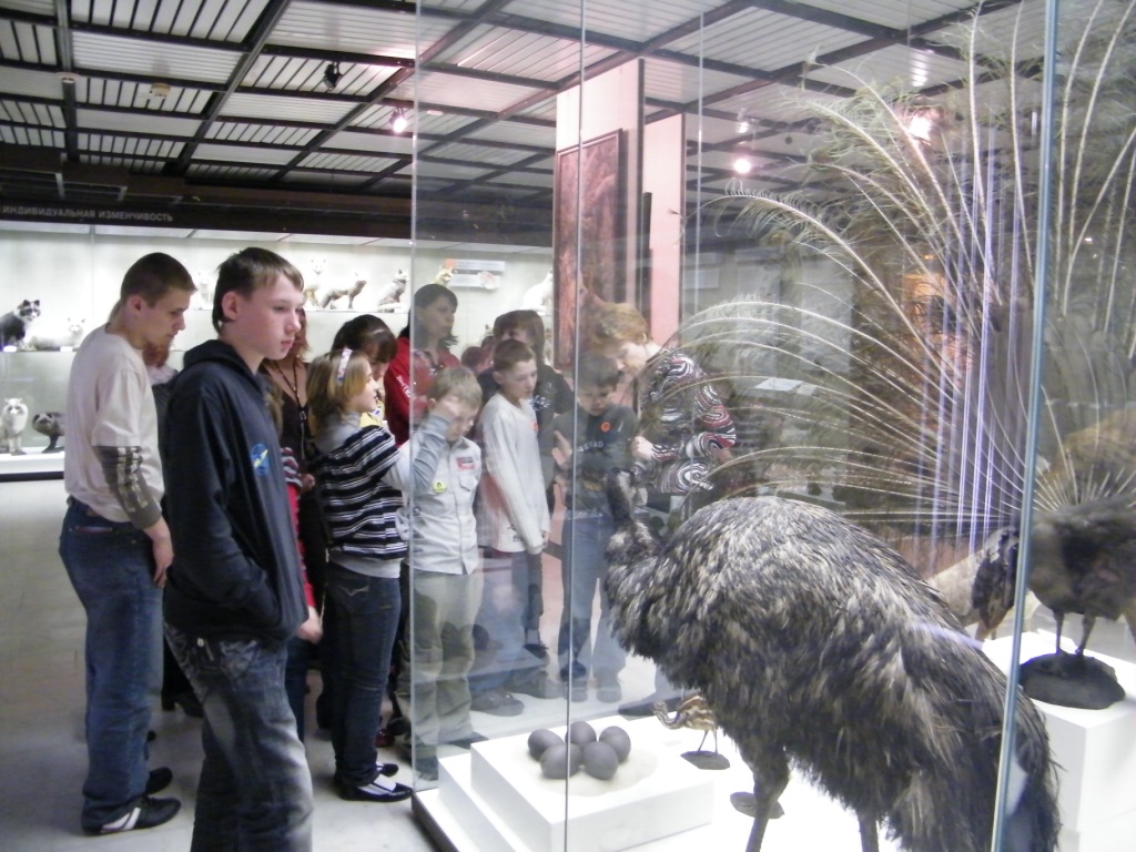 Поездка в Государственный Дарвиновский музей
