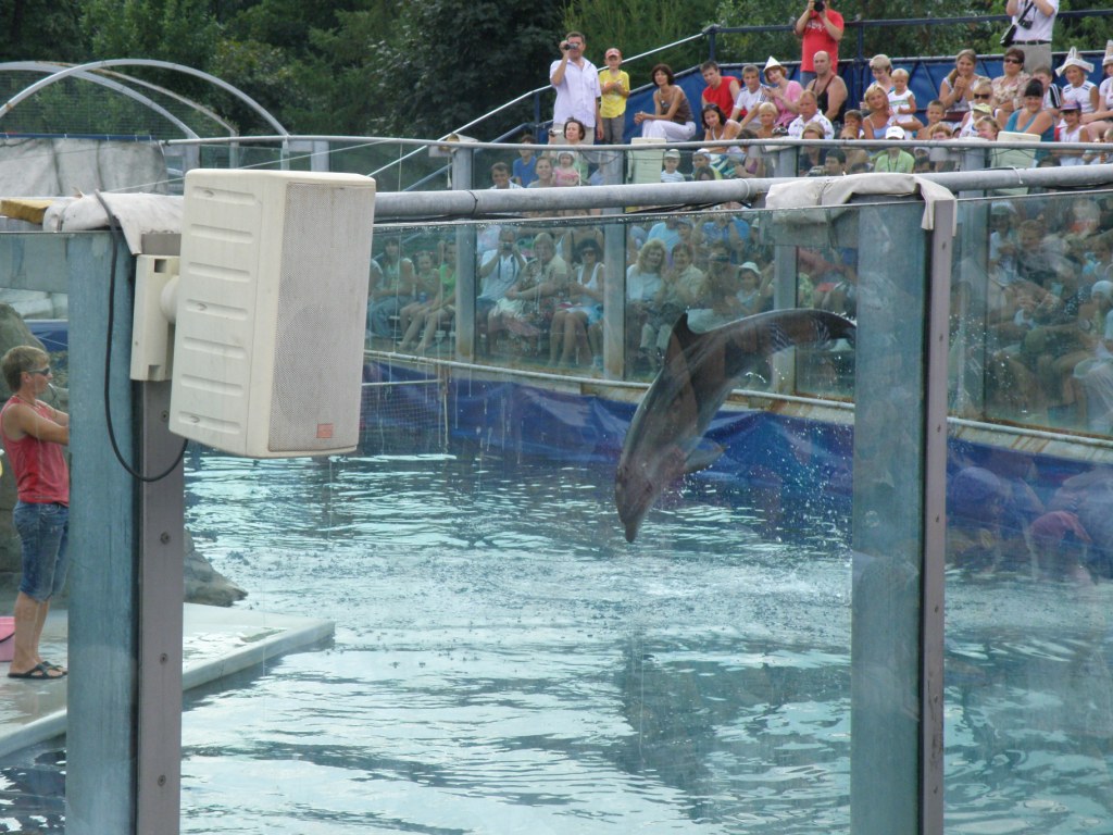 Поездка в Московский зоопарк