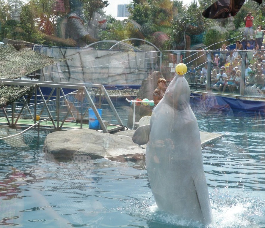 Поездка в Московский зоопарк