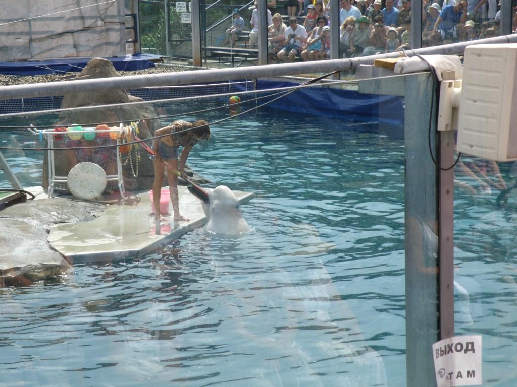 Поездка в Московский зоопарк