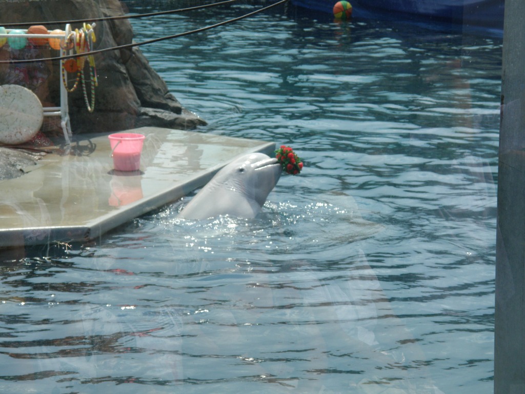 Поездка в Московский зоопарк