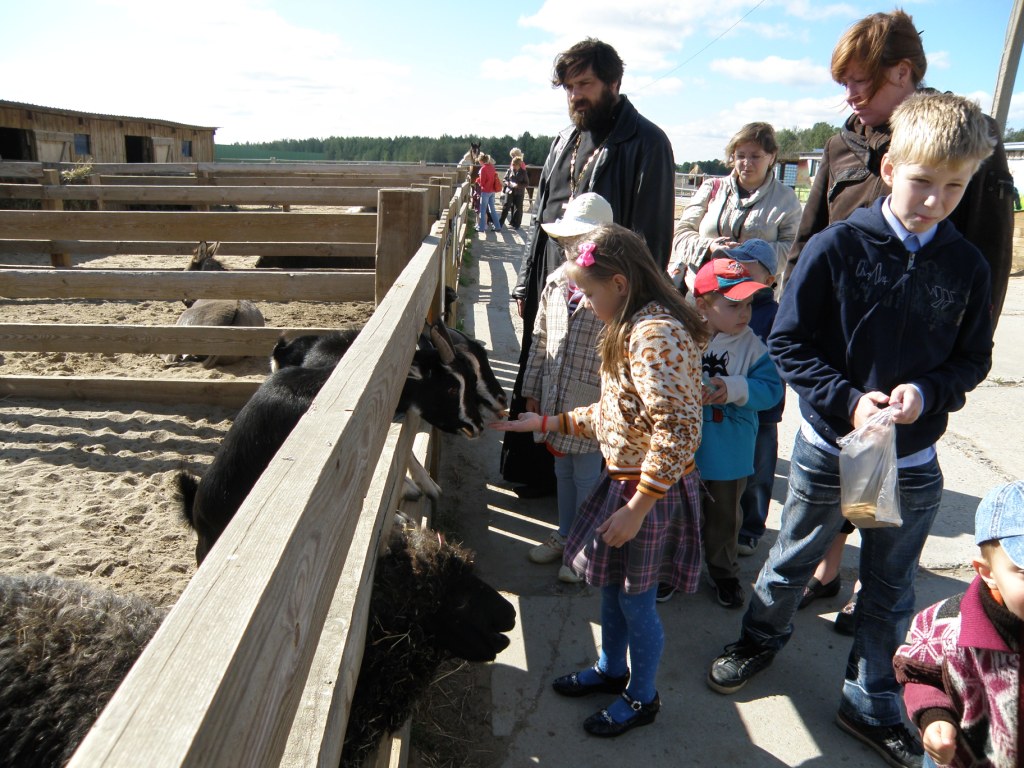 Поездка в мини-зоопарк "Горки"