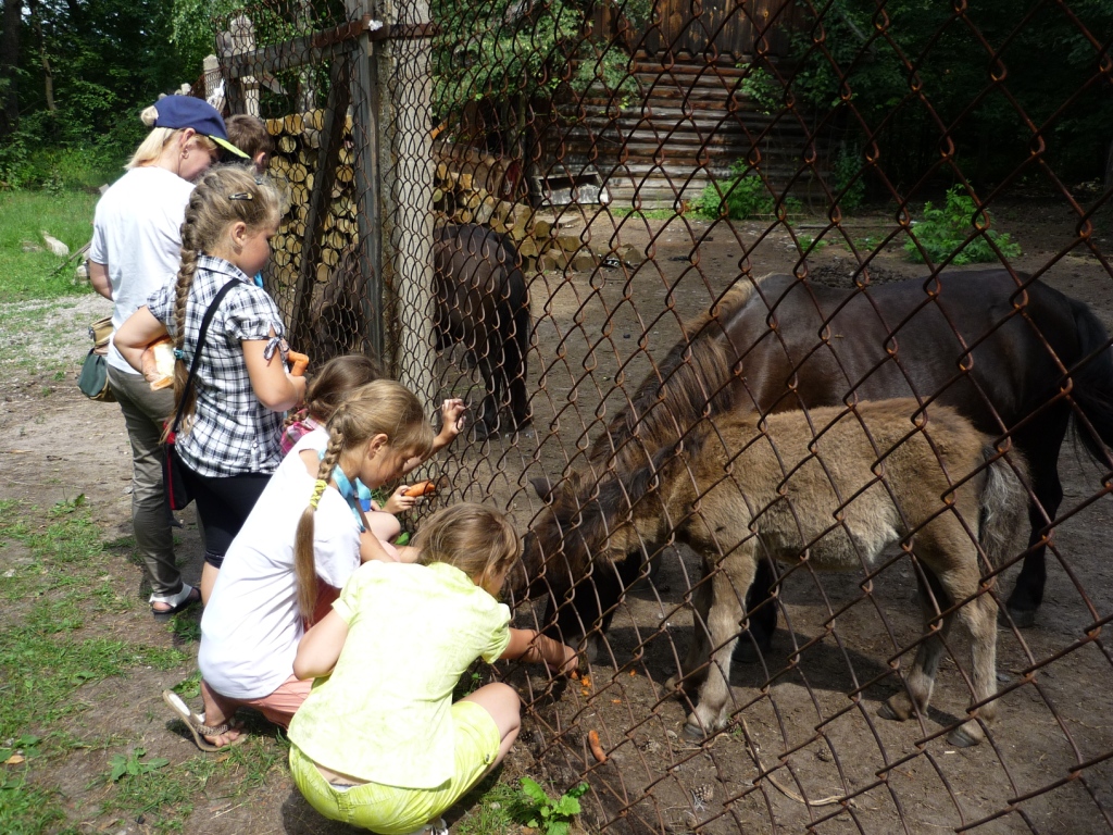 Поездка в Приокско-Террасный государственный природный биосферный заповедник