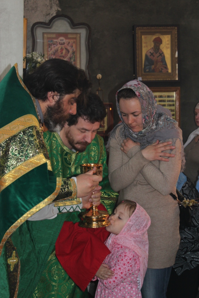 Вход Господень в Иерусалим (Вербное воскресенье)